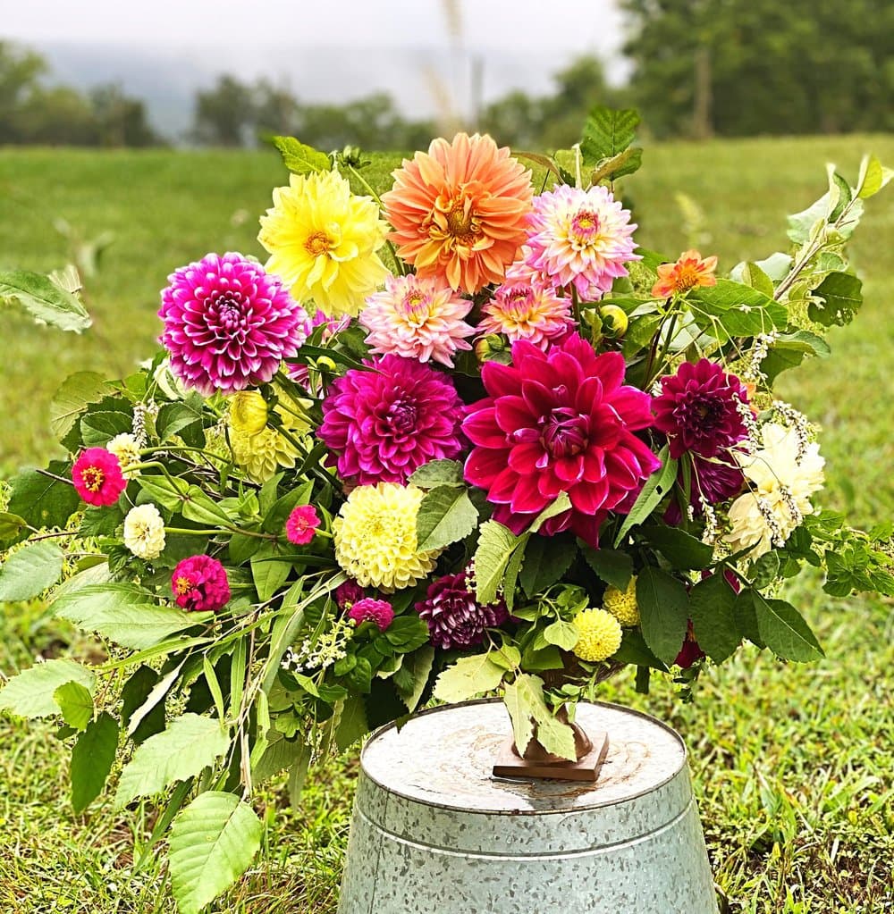 Farm grown flowers
