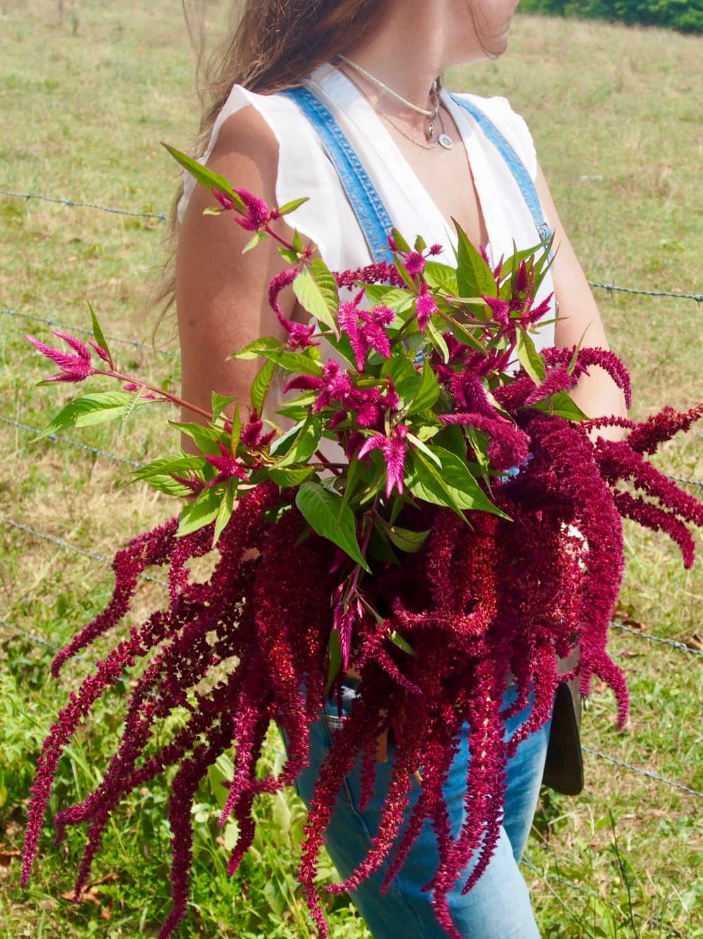 Farm grown flowers