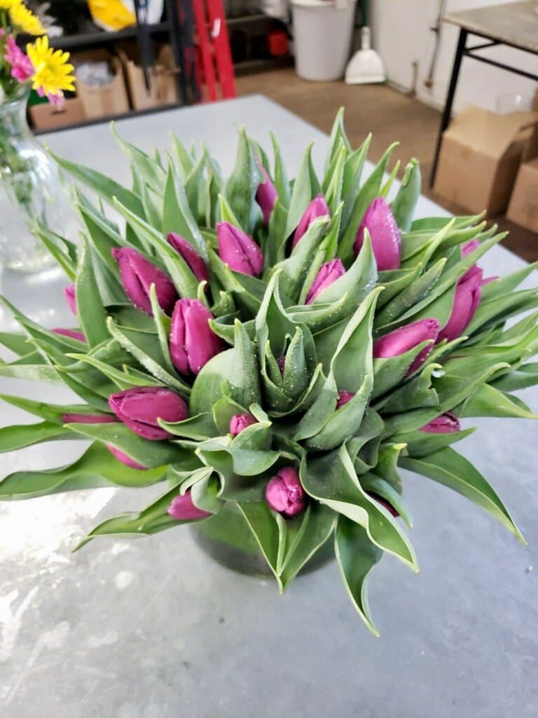 Tulip Bouquet