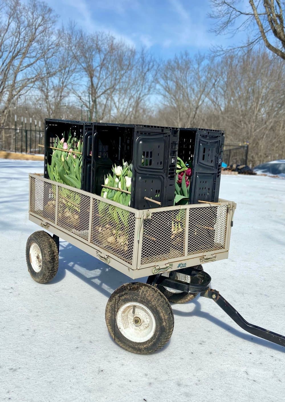 Flowers in a Wagon