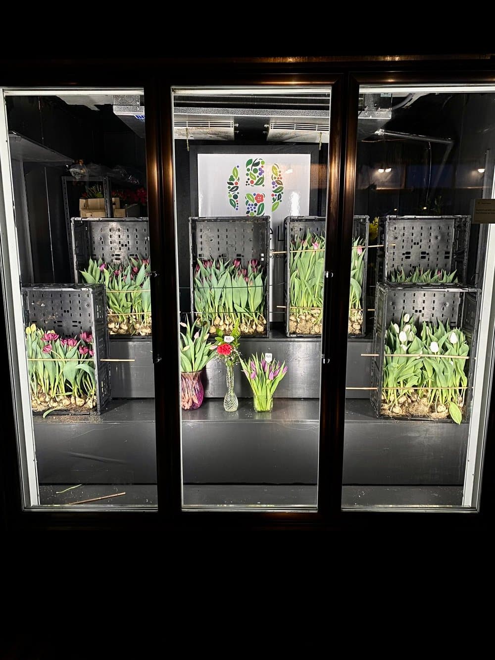 Flower box display - Ozark Missouri