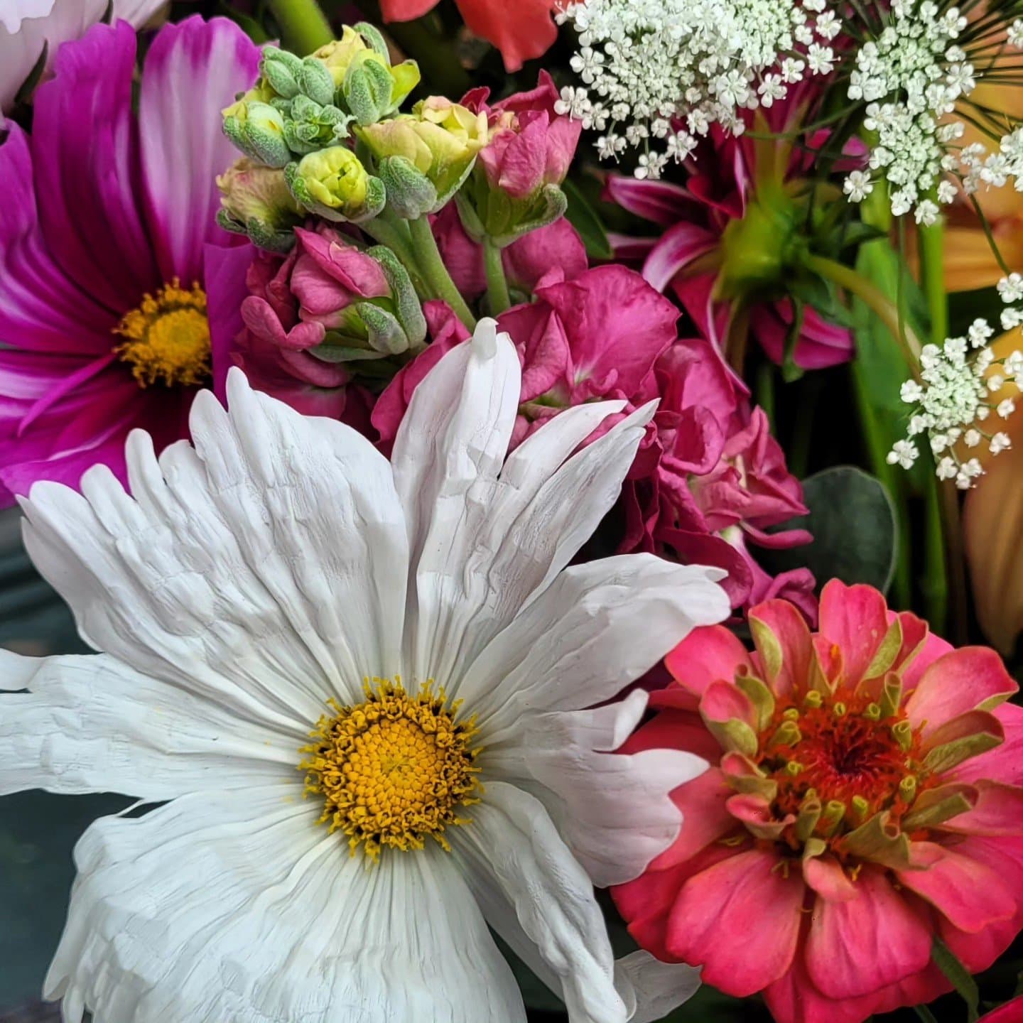 Farm fresh flowers grown this morning